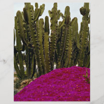 Cactus and tropical flowers Desert Flyer