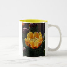 Cactus Bloom Mugs