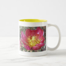 Cactus Flower Mugs