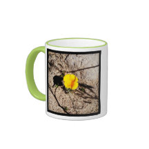 cactus flowers mugs