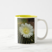 Cactus in Bloom Coffee Mug