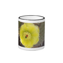 Cactus Mugs