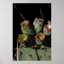 cactus print