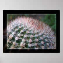 Cactus Print