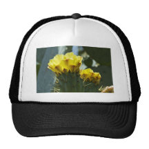 Cactus Yellow Mesh Hats