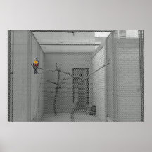Caged bird poster