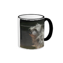 cairn terrier coffee mug