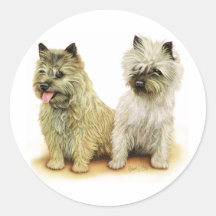 Cairn Terrier Sticker