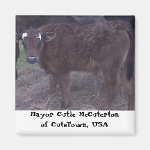 Calf magnet: Mayor Cutie