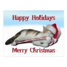 Cali, the Candy Cane Kitty Postcard