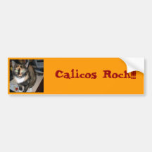 Calicos Rock!!! Bumper Sticker