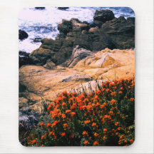 California Coastal Floral Mousepad