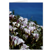 California Flowers Notecard