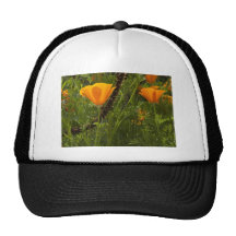 California Poppie Hats