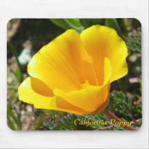 California Poppy Mousepad