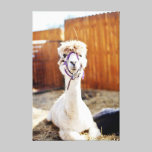 Call Me Al Canvas canvas prints