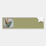 Calla Lily Bumper Sticker