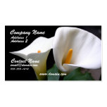 Calla Lily Business Card
