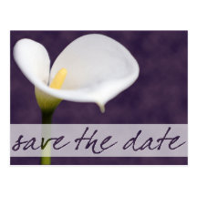 Calla Lily Save the Date Postcard