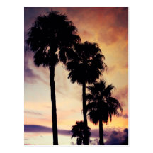 Calm Night Postcards