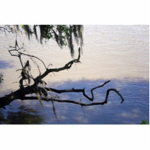 Calm Waters Acrylic Cut Out