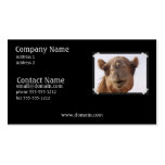 Camel Business Card