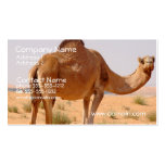 Camel Business Card