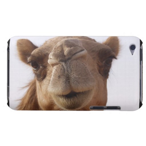Camel iTouch Case iPod Case-Mate Case