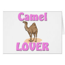 Camel Lover Greeting Cards