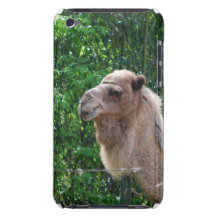 Camel Photo Design  iTouch Case iPod Touch Case-Mate Case