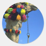 Camel Round Sticker