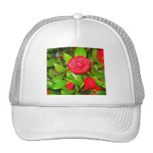 Camellias in Bloom Hat
