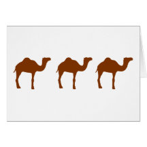 Camels Greeting Cards