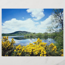 Camlough Lough, County Down, Ireland Flyers