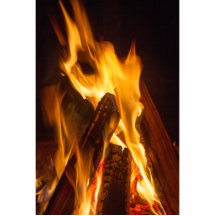 Campfire Glow Photo Sculptures
