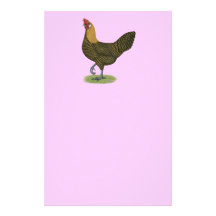 Campine:  Golden Hen Stationery Design