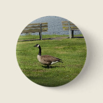 Canada Goose buttons