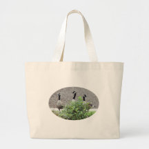 Canada Goose Trio Nature Animal Photo Tote Bag