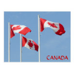 Canada Souvenir Postcards Canada Flag Art Cards