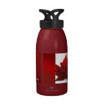 Canada Water Bottle Canada Souvenir Sport Bottle