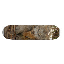 Canadian Lynx 1915e Skateboard