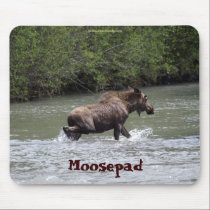 Canadian Moose  Funny Wildlife Mousepad mousepads