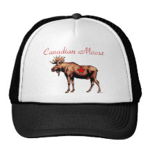 Canadian Moose Hat