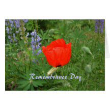 Canadian Remembrance Day- November+11th Poppy Cards