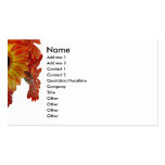 candied flowers business card