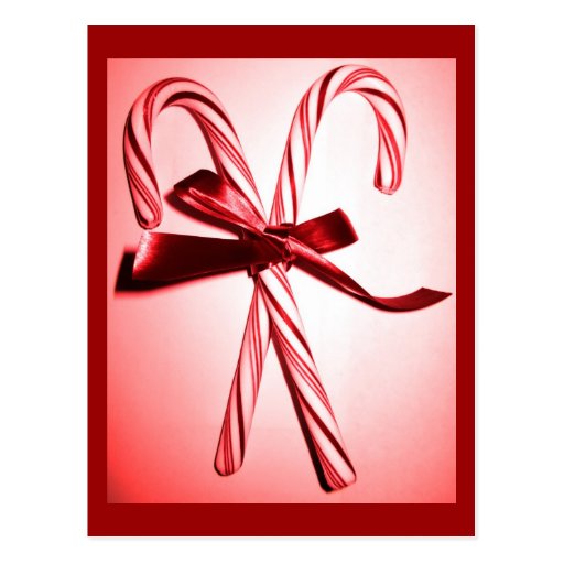 Candy Canes Postcard