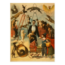 Canine Circus - Postcard #1