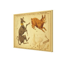 Canis Major Vintage Astronomical Star Chart Image Canvas Prints