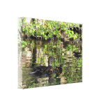 Canvas: Mallard Duck and Ducklings Canvas Prints
