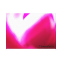 CanvasArt-DeepPinkRose.© Roseanne Pears 2012. Stretched Canvas Prints